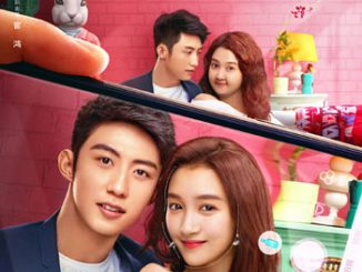 Downlaod Film Oversize Love (2020) Subtitle Indonesia