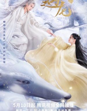 Download Drama China Miss the Dragon Subtitle Indonesia